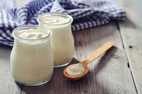 Jogurt ze sušičky potravin