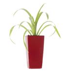 Samozavlažovací květináč G21 Linea mini červený 26 cm