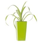 Samozavlažovací květináč G21 Linea mini zelený 26 cm